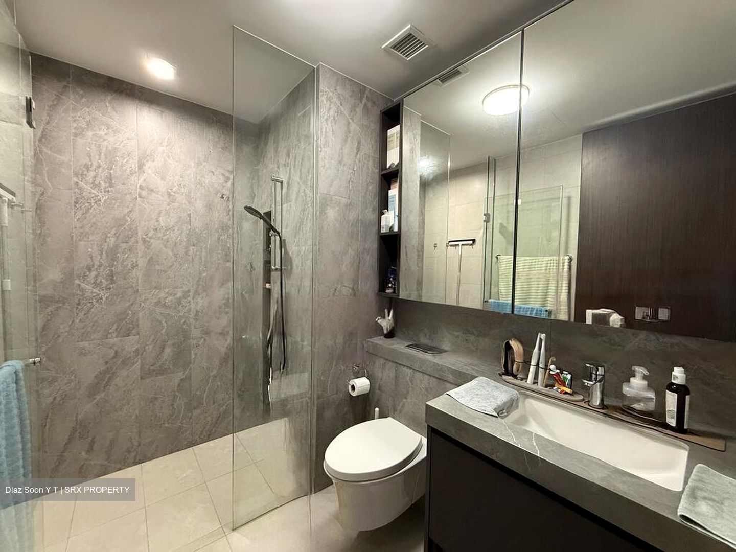 Parc Clematis (D5), Apartment #453802811